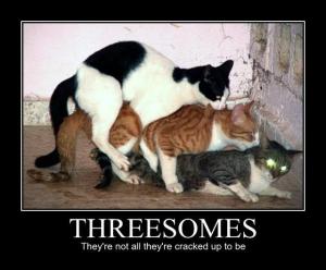Cat Threesome